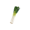 파김치