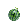 수박
