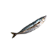 생선류