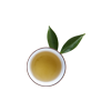 녹차